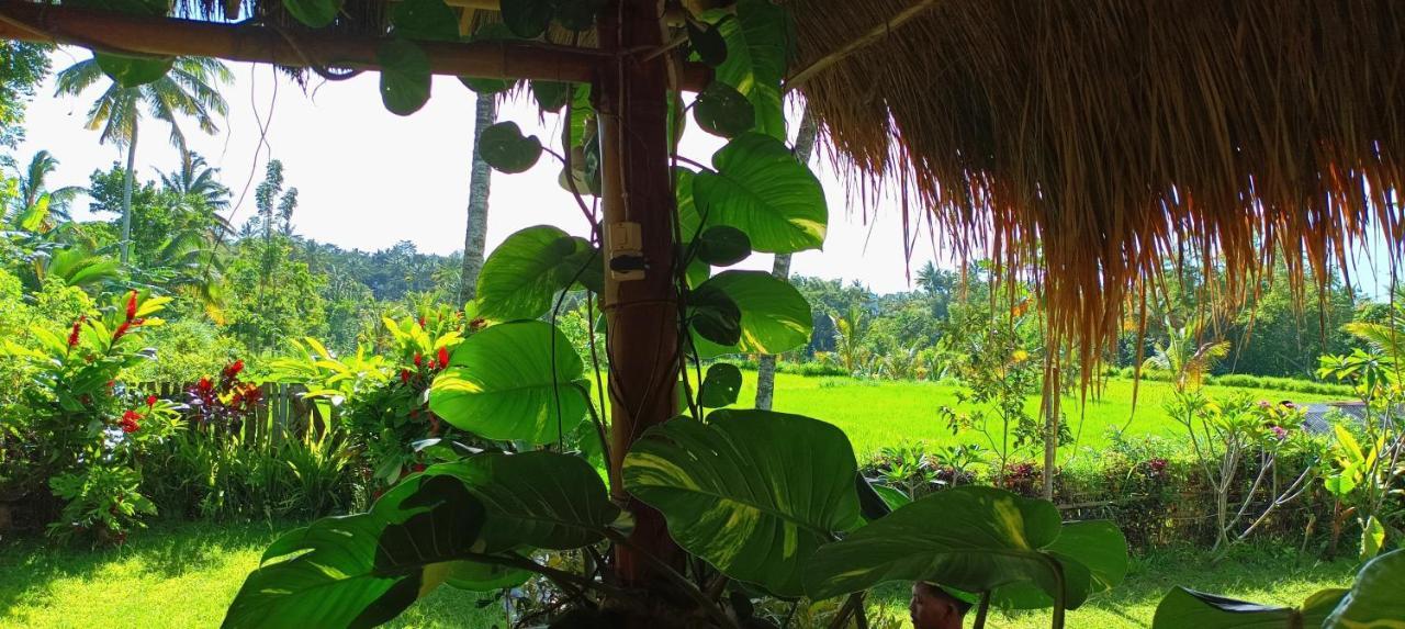 Novia Guest House Lombok-تيتيباتو المظهر الخارجي الصورة