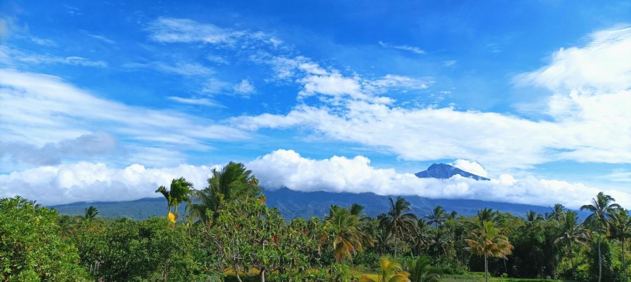 Novia Guest House Lombok-تيتيباتو المظهر الخارجي الصورة